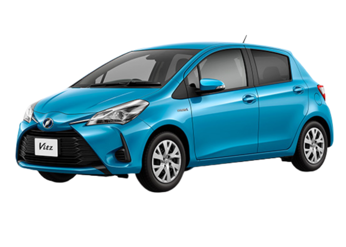 Vitz hybrid